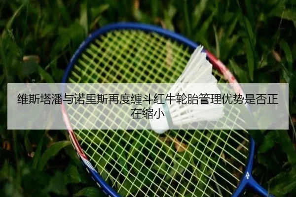 维斯塔潘与诺里斯再度缠斗红牛轮胎管理优势是否正在缩小